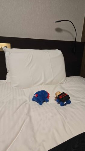 ホテルにもどったけどこのままねちゃいそう…ﾑﾆｬﾑﾆｬ…ﾓｳｵﾅｶｲｯﾊﾟｲ…