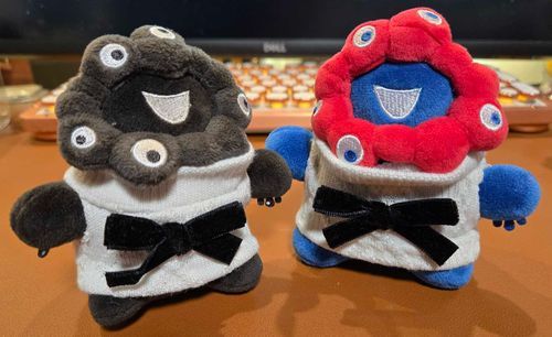 さいきんすずしくなってきたから、にんげん用のくつしたをちくちくしておそろいのセーターを作ってもらった～！おりぼんかわいいでしょ～