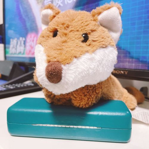 くたキツネさんはリビング定住の
見守り屋さんをしています🦊