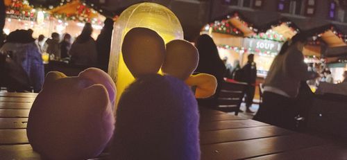 冬は友達のプリンちゃんと
クリスマスマーケット眺めてた