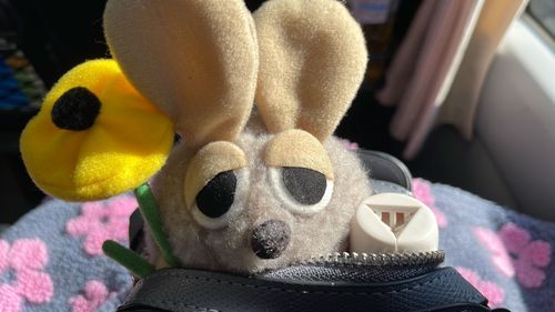 たまにこのバッグに入って
お出かけするんだけど、ムギュ気味