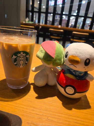 新しい子をお迎えした！