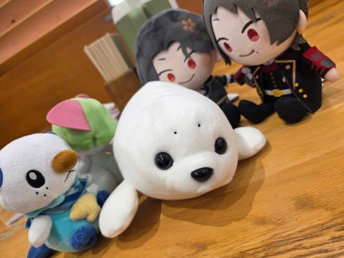 あたらしいこを おむかえ したよ！