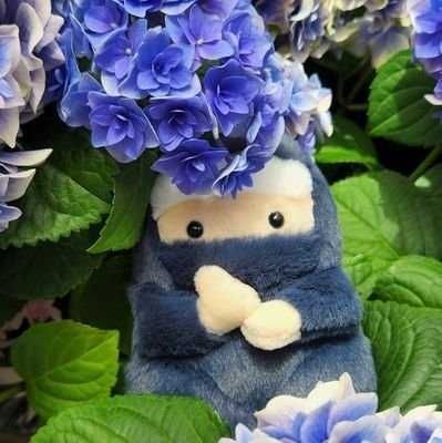 カウンセラー忍者の根岸たん
虎子石のとらたろうと一緒に
いつも見守ってくれてます。😊💓