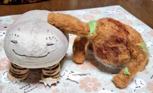 虎子石のとらたろうと
プロヘメのロッキー (石仲間)