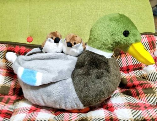 カモのワイルドハントさんと
ちゅんちゅん