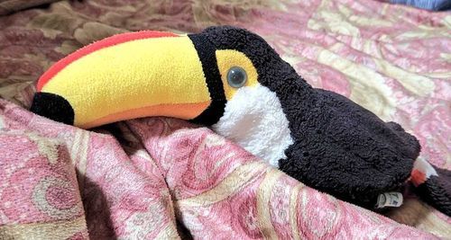 デカまる『naki 最近(鬱のせいで)
窶れてるのになんか無理してる
っぽくて心配なんだわ.....
みんな心配してるから
無理してほしくねえけど
どうしたらいいんだろなぁ.....』