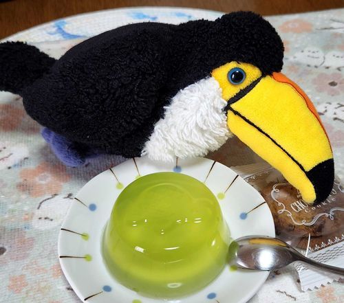 カメさんゼリーだ～！🐢