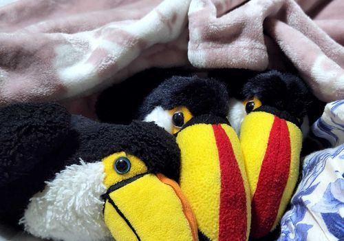 nakiちゃん、(鬱と発作による)
体調不良の関係で衰弱してるから
暫く投稿お休みするね.....💦
ゴメンネ....💦