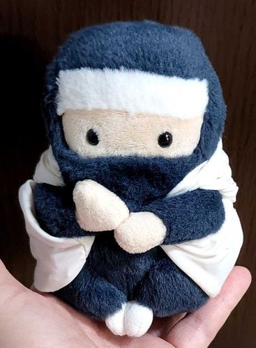 カウンセラー忍者なので
白衣着せてみた。
(根岸)
あと主殿の症状が....ちょっと.....
危ないでござる.....
動悸と全身の倦怠感が酷く
心臓が痛く苦しい力が入らない
もたないかもしれない......と.....
顔色も悪いし呼吸も浅いし
倒れないか
本当に心配でござるよ........💧