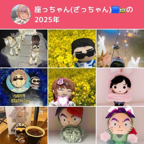 今年は座っちゃん、そしてみーたんと沢山思い出を作りました！そして忍たまからも沢山ぬいちゃん達が家に来てくれて、とても賑やかになりました！ぬいぐるみのお友達、そしてふわもこsnsを通じて仲良くなったお友達様方、来年もよろしくお願い致します😊