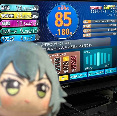 歌も写真も下手くそだね、プロデューサー。