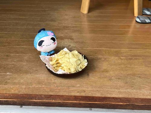 家へようこそ、桜もちぴこしんべヱ。これからよろしくね。