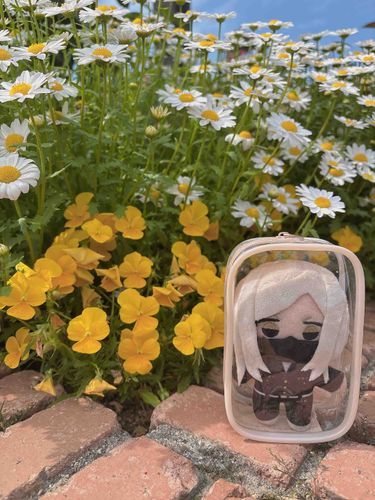 まあ、綺麗だった。