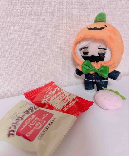 菓子を一番集めるのはオレだ（あとで全部マイキーにあげる）。