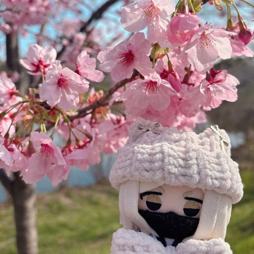 🌸