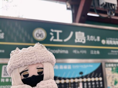 江ノ島🪼