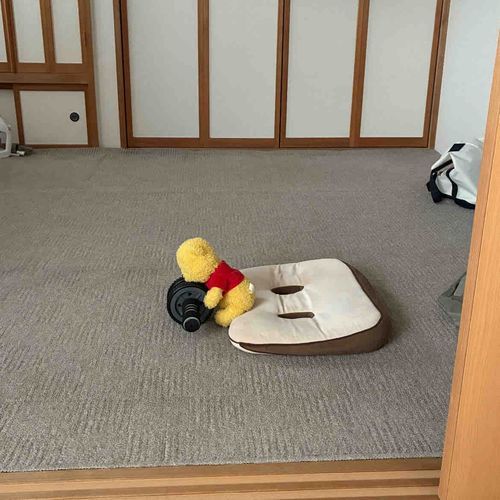 筋トレは好きじゃないんだけど、
やる気あるように見せておきます。
これアゴがぶつかるし、手が届かないから前に行けないんだよね。