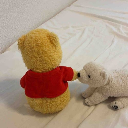 ちょこび、こんどおひっこしするんだけど、それでおせわさんが毎日いそがしそう。いっぱいでんわしてる。
くたびれたかおしてるよ。
ちょこびがぱわーちゅうにゅうするよ！