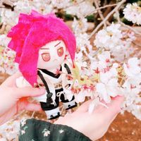 ぬいすけさん