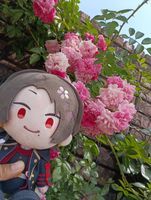 わんぱくっ子な加州くんの本丸日記