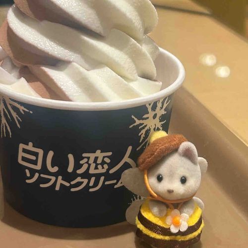 食い尽くし系🐝