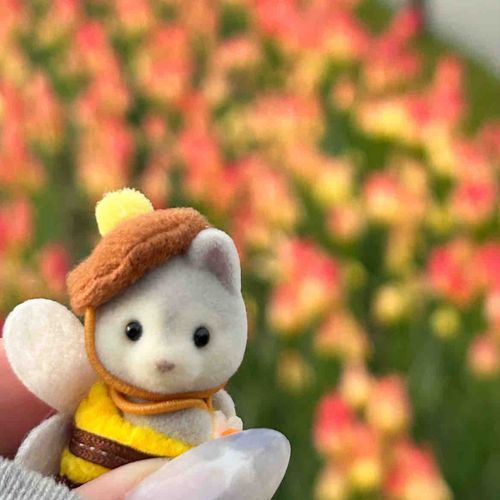 わたしとお花。どっちが綺麗？😚🌷