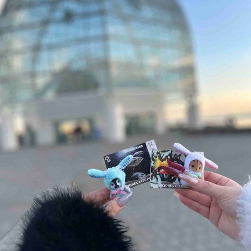 水族館デビュー🎶🐧🐿️