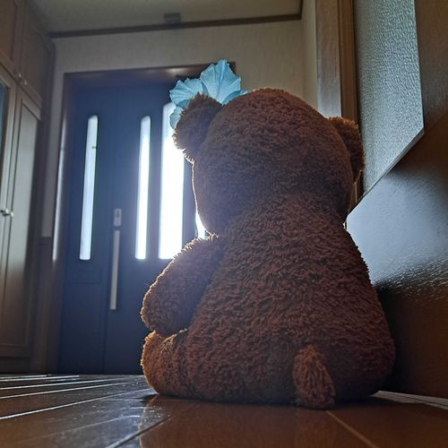 おかーさんと　おにーちゃんが　おかいものいったから　かえってくるまで　まってたの
ほむべーかり？を　きのうかってきて　きょうは　ぴざつくるんだって
くまもたべていいかな