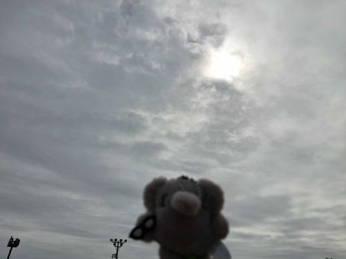 にんげん　おまつりいってきたって
くまは　ちょとおっきいから　ちっちゃいこ　つれてった
おそら　もくもくのくもりだけど　おまつりぽいもの　いっぱいたべたって
いいな