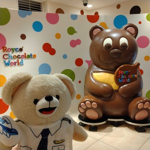 ファーファ機長🧑‍✈️ロイズのくまさんに初対面の巻🐻♥️
