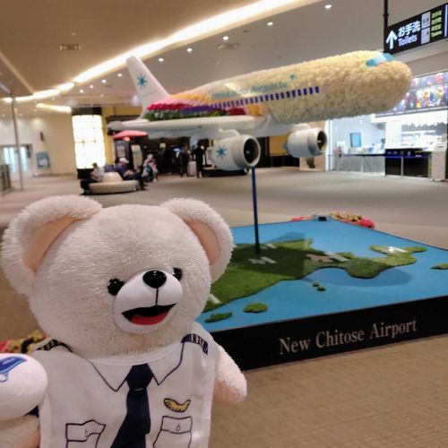 ぬい撮りスポット🐻‍❄️✈️