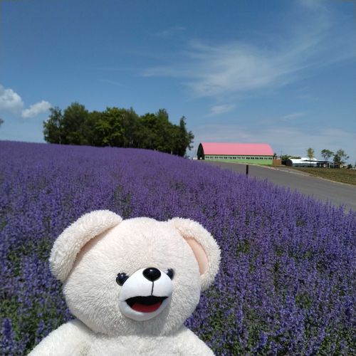 晴天で良かった🐻‍❄️🌈