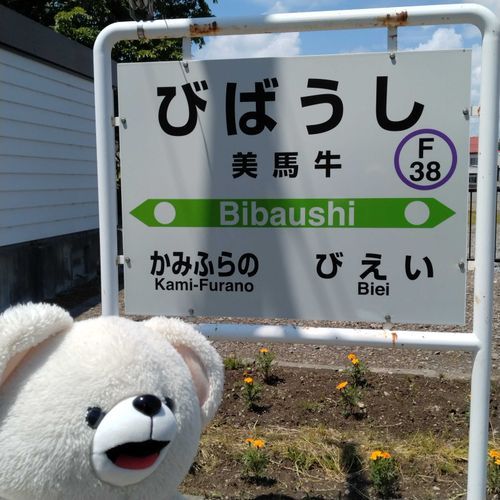 駅に来たら必ず看板と撮るよ🐻‍❄️♥️📸