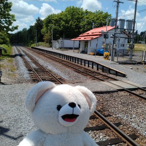 美馬牛駅のホームはこんな感じ✨
