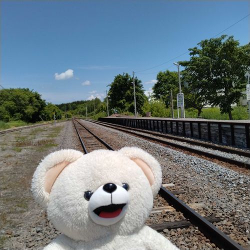 美馬牛駅のホームに見惚れるファーファ🐻‍❄️☀