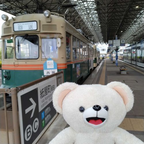 路面電車とぬい撮り🐻‍❄️♪💕