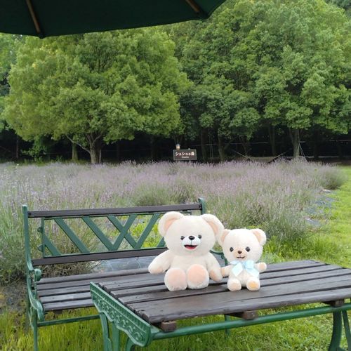 ぼくたち仲良しなんだ🐻‍❄️🪻💕