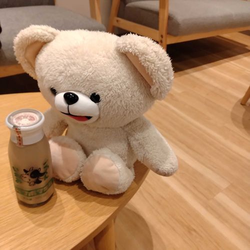 島根の旭温泉に行ってきたよ🐻‍❄️　
旅館にあった珈琲牛乳絶品だった🐻‍❄️🌸