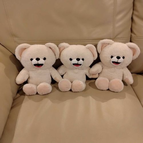 洗濯後のファーファ🐻‍❄️🩷✨
左側から長男・次男・三男だよ♂