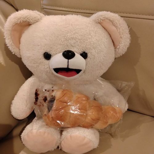 パパが買ったチョココロネ🍫食べちゃおうかな🐻‍❄️✌いや、怒られるからやめとく〜