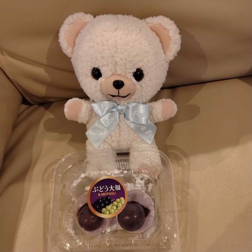 ママがゆめタウンの口福堂さんで美味しそうな大福買ってきてくれた🍇
ぶどうが瑞々しくてとっても美味しかった🐻‍❄️🎀