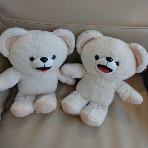 今日のファーファ🐻‍❄️
長男・次男まったりモード🩷🩷