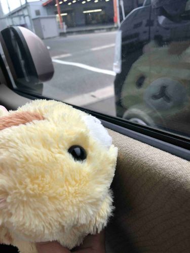 ぽつぽつ、つめたいのふってるよ
ぼくつめたいのきらい