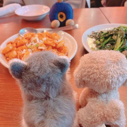 ともだち の ダンゴロ と