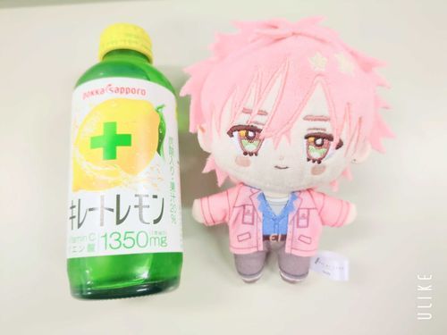 今日は週の折り返しだね