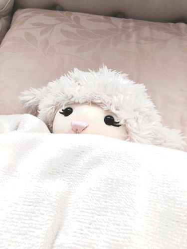 冬はさむい