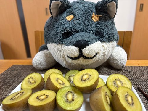 わんの キウイ🥝