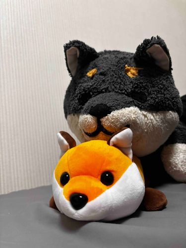 こちらが おいなりの だいすきな わんわんさん
おっきい くろしばさんです
おいなりのこと みかんいろの あかしばだと おもってる ふしが あります
