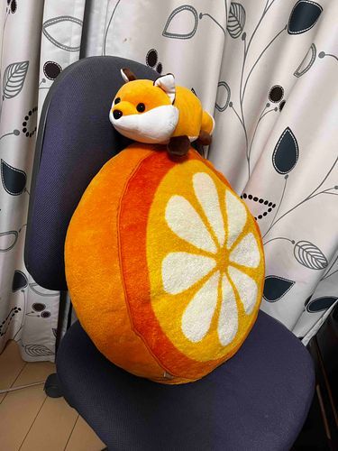 わんわんさんに よると おいなりは みかんいろ だそうです
おいなりとしては いなりずしの いろ だと おもって いたのですが、 わんわんさんが みかんだと いうので みかんです